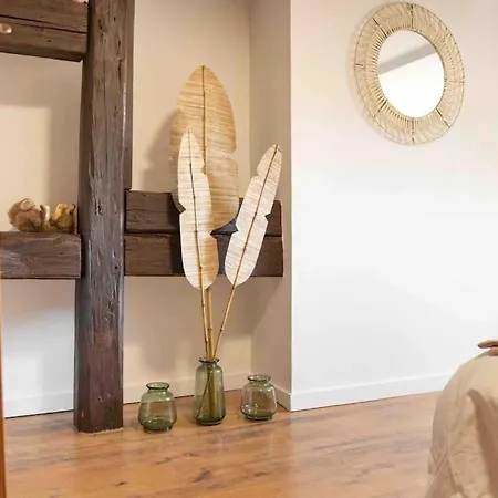 Les Lionceaux, 120m2 A Colmar, Place De Parking Gratuite Кольмар