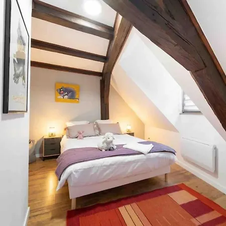 Les Lionceaux, 120m2 A Colmar, Place De Parking Gratuite Апартаменты *