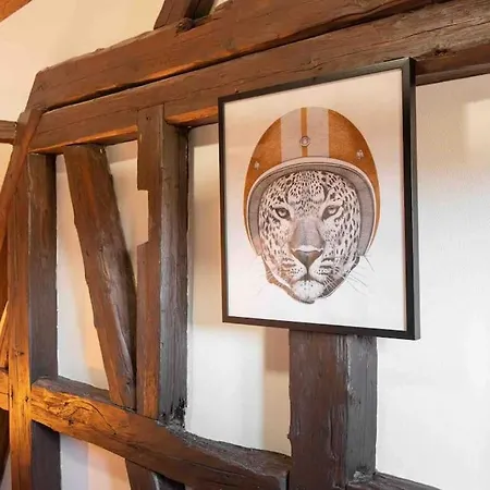 Les Lionceaux, 120m2 A Colmar, Place De Parking Gratuite Lejlighed *