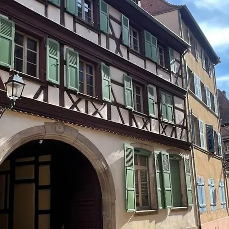 Les Lionceaux, 120m2 A Colmar, Place De Parking Gratuite Кольмар