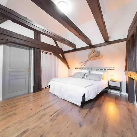 Les Lionceaux, 120m2 A Colmar, Place De Parking Gratuite Lejlighed *