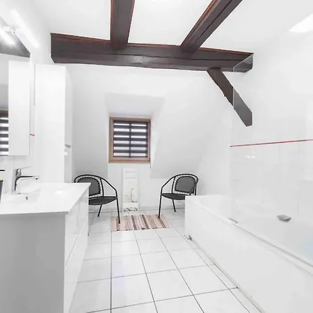 Апартаменты Les Lionceaux, 120m2 A Colmar, Place De Parking Gratuite Кольмар