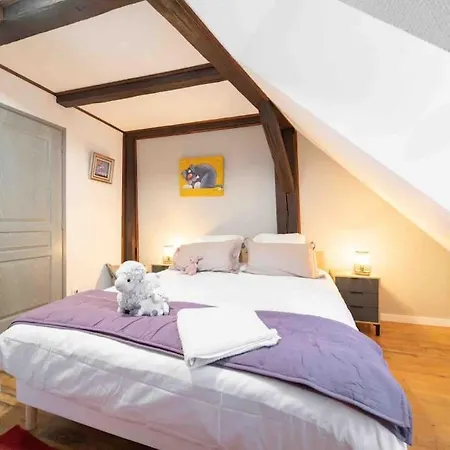 Les Lionceaux, 120m2 A Colmar, Place De Parking Gratuite Апартаменты Кольмар
