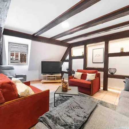 Les Lionceaux, 120m2 A Colmar, Place De Parking Gratuite Кольмар