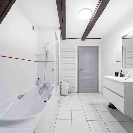 Les Lionceaux, 120m2 A Colmar, Place De Parking Gratuite كولمار