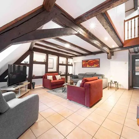 Les Lionceaux, 120m2 A Colmar, Place De Parking Gratuite *