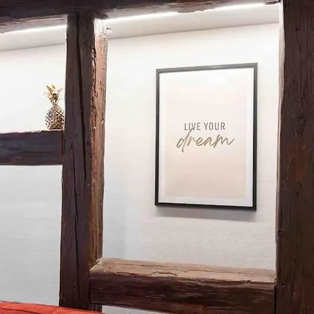 Апартаменты Les Lionceaux, 120m2 A Colmar, Place De Parking Gratuite *