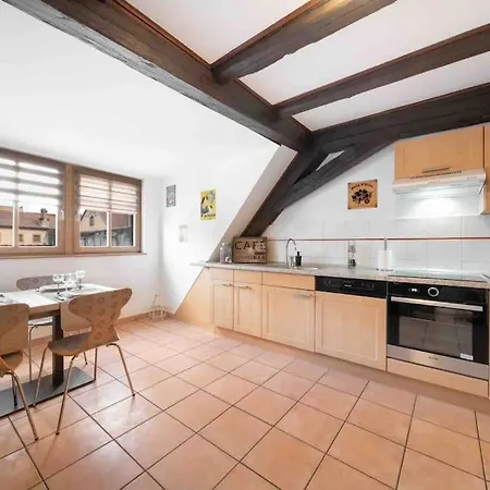 Apartment Les Lionceaux, 120m2 A Colmar, Place De Parking Gratuite Colmar