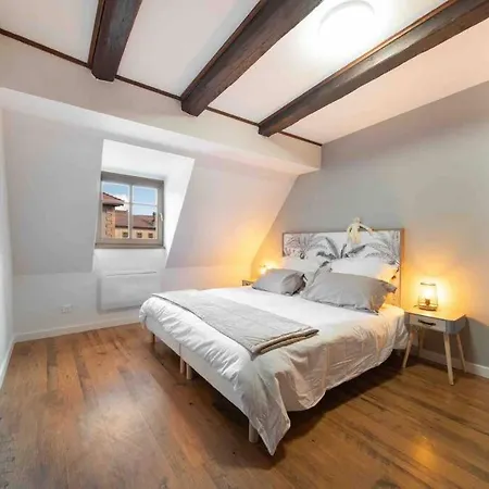 Les Lionceaux, 120m2 A Colmar, Place De Parking Gratuite *