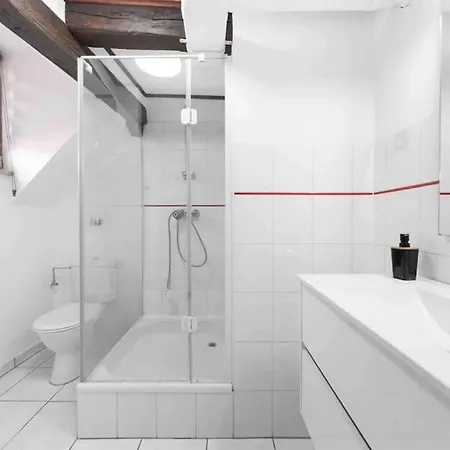 Les Lionceaux, 120m2 A Colmar, Place De Parking Gratuite Апартаменты Кольмар