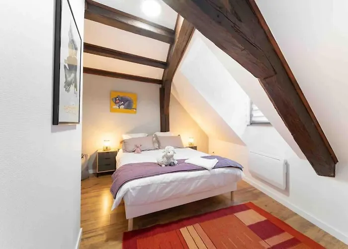 Les Lionceaux, 120m2 A Colmar, Place De Parking Gratuite Lejlighed *