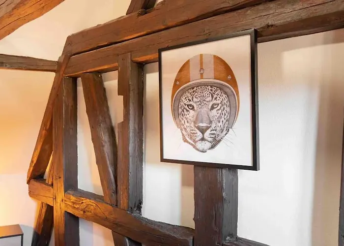 Les Lionceaux, 120m2 A Colmar, Place De Parking Gratuite Lejlighed *