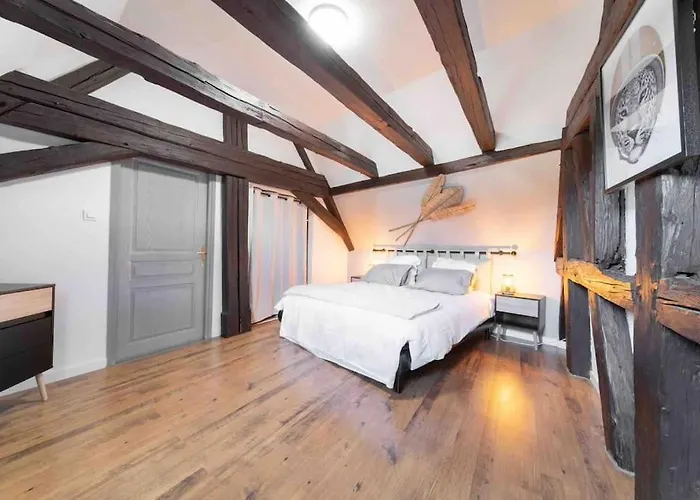 Les Lionceaux, 120m2 A Colmar, Place De Parking Gratuite Lejlighed *