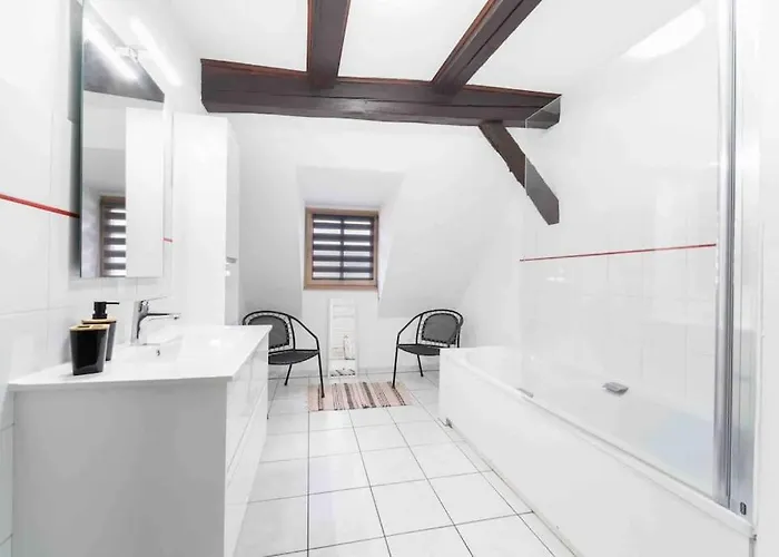 Lejlighed Les Lionceaux, 120m2 A Colmar, Place De Parking Gratuite Colmar