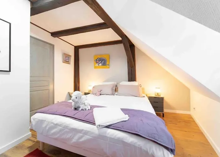 Les Lionceaux, 120m2 A Colmar, Place De Parking Gratuite Lejlighed Colmar