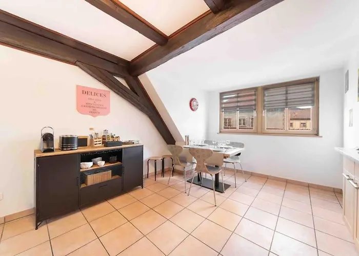 Les Lionceaux, 120m2 A Colmar, Place De Parking Gratuite Lejlighed