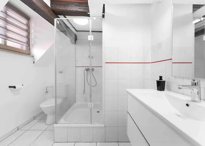 Les Lionceaux, 120m2 A Colmar, Place De Parking Gratuite Lejlighed Colmar